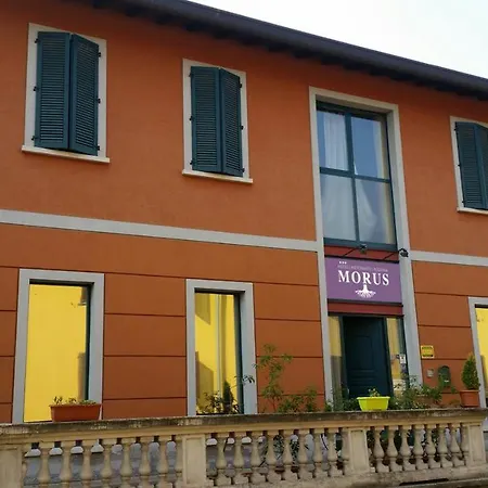 Hotel Ristorante Morus 3*